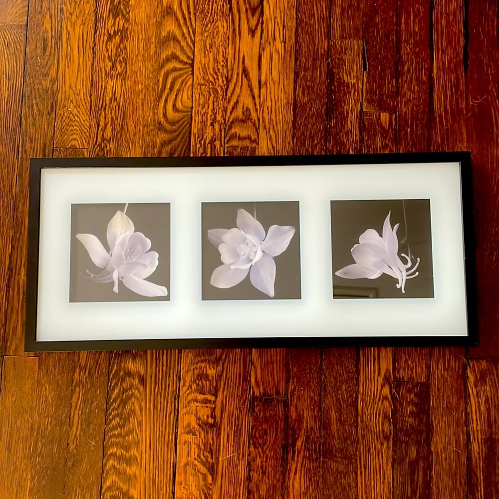 Brand New flower wall art